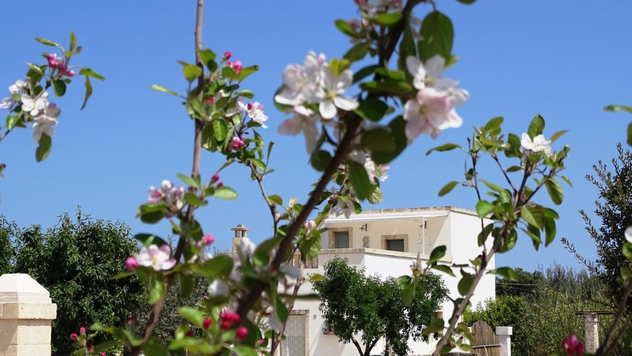 Le Fogge Guest House Fasano Exterior photo